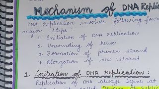 Steps of DNA Replication class 12 Mechanism of dna replication  process of dna replication notes [upl. by Saba]