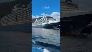 Holland America Line🛳️ cruise cruiseship travel hollandamericaline [upl. by Anyar161]