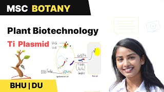 Ti Plasmid  TDNA  Vir GENES  Plant Biotechnology  BHU DU MSc Entrance  In Hindi [upl. by Alsworth]