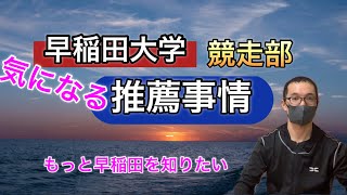 【徹底解説】戦力分析にもお役立ち TAとは？指定校推薦って一般組？もっとワセダを知りたい [upl. by Roselani386]