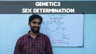 Sex determination  Genetics  Senthilnathan [upl. by Ainimre]