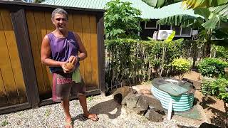 Rarotonga Beach amp Coconut Husking [upl. by Eerolam]