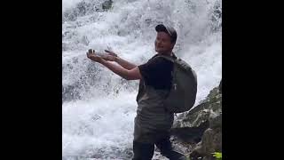 Sawmill creek freshwater steelhead fishing Sitka Alaska  Baranof Island [upl. by Myrtle]