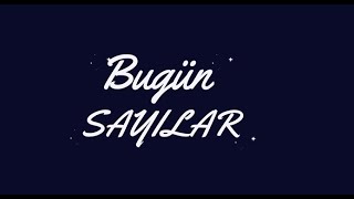 Türkçede Sayılar Numbers  Yabancılara Türkçe Öğretimi [upl. by Ignazio]