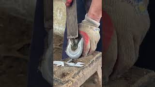 Great hoof trimming video extremely comfortable丨ASMR丨Donkey hoof cutting sound [upl. by Ycrep954]