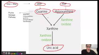 Lesch Nyhan Syndrome Mnemonic [upl. by Udell]