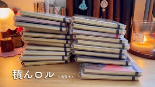 積んロルとフレキシブルで試したいこと❣️📖【前編】新しいノートを買う前に積んロルから消費したい❣️ [upl. by Berny]