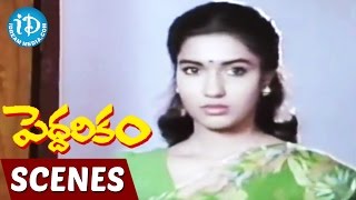 Peddarikam Movie Scenes  Sukanya at Jagapati Babus Hostel  Jagapati Babu [upl. by Anerom]