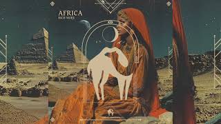 RICH MORE  Africa [upl. by Ebert]