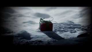 John Lewis Christmas Advert 2013  The Bear amp The Hare  Recut [upl. by Notaes]