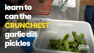 Learn to Can The Crunchiest Garlic Dill Pickles Claras Canning The Show [upl. by Yuri]