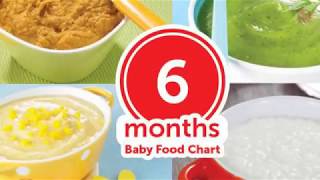 6 Months Baby Food Chart [upl. by Eyaf]