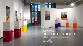 Exposition DUO de bestioles à la médiathèque les Capucins  BREST [upl. by Gnehp]