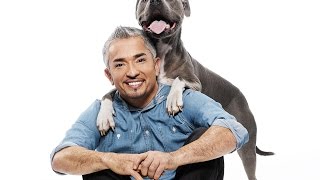 Cesar 911 S02E01 Loaded Gunny 1 [upl. by Zehe326]