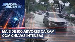 Chuva intensa atinge Grande São Paulo  Brasil Urgente [upl. by Nottirb]