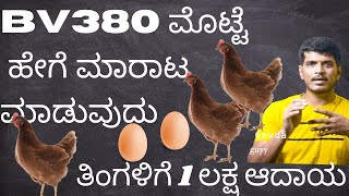 BV380 ಮೊಟ್ಟೆ ಹೇಗೆ ಮಾರಾಟ ಮಾಡುವುದುಈ ವೀಡಿಯೊ ನೋಡಿ  HOW TO SELL BV380 EGGS  BV380 Farming [upl. by Barfuss309]