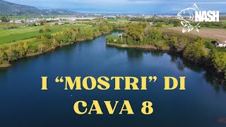 I quotMOSTRIquot DI CAVA 8  Carpfishing tra gli erbai [upl. by Dannon]