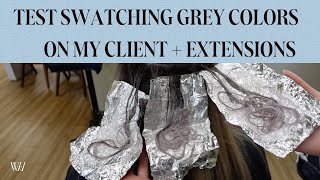 Hair Color Testing Guide How to Swatch 3 Grey Hair Colors on Salon Client amp Hair Extensions [upl. by Enair760]