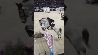 equestrianshow cavaliada horseriding horsejumping [upl. by Kohsa740]