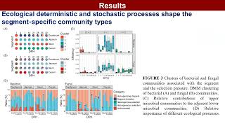 iMeta  Quantitative microbiome profiling reveals the developmental of the chicken gut microbiota [upl. by Azpurua209]