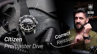 A Legendary diver for any pocket which you shouldn’t ignore [upl. by Meurer]