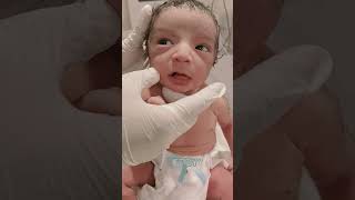 Only for new borns viralvideo littleprince newbornbaby mylittleprince [upl. by Sayed]