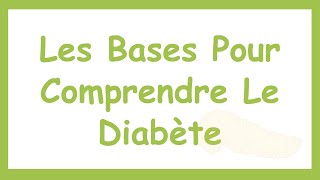 Le Métabolisme GlucidoLipidique  Les Bases Pour Comprendre le Diabète [upl. by Airekat]