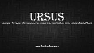 How to Pronounce ursus with Meaning Phonetic Synonyms and Sentence Examples [upl. by Lilia]