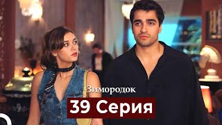 Зимородок 39 Cерия Русский дубляж [upl. by Samalla942]