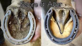 SATISFYING HORSE HOOF RESTORATION [upl. by Ajssatan]