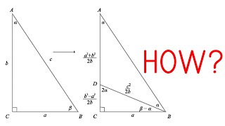 Teens discover new proof of Pythagoras Theorem using trigonometry [upl. by Einhpets]