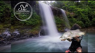 RAINFOREST WATERFALL WALK AND DRAIN FISHING [upl. by Lonne]