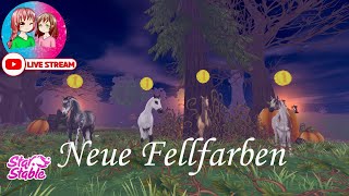 Live🔴 SSO ☆ Server 5  Cloudy Rock ☆ 🎃 Halloween Event  neue Fellfarben🎃 [upl. by Everest]