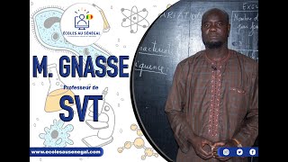 Cours  Terminale S1  SVT  Conduction de lInflux Nerveux  M Gnass [upl. by Amersham554]