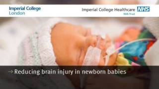 Reducing brain injury in newborn babies [upl. by Heinrike]