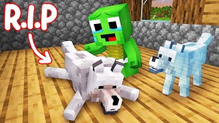 RIP Baby Mikey DOG  Sad Ending  Maizen Minecraft Animation [upl. by Ayel]