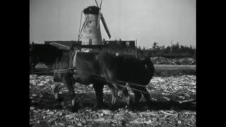 Documentaire van Kerkdriel in 1955 nostalgie zwart wit [upl. by Ardekan872]