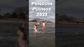 Can I Survive this INSANE Challenge Polar Plunge [upl. by Lokkin32]