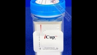 Integrated EZ Split Key Cup Drug Test Instructional Video [upl. by Frangos]