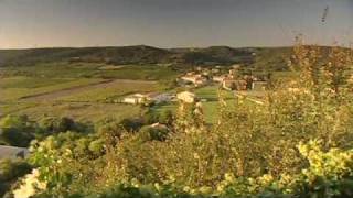 Discover The Wines of the Rhone Valley Part 2 of 3 [upl. by Stig253]