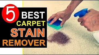 🏆 Top 5 Best Carpet Stain Remover in 20232024 🌟Expert Guide🌟 [upl. by Ytnom815]