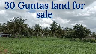 30 Guntas land for sale near Dabaspet [upl. by Amehsat]