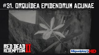 Localización múltiple Orquídea Epidendrum Acunae  31Compendio Plantas  Red dead redemption 2 [upl. by Ninette]