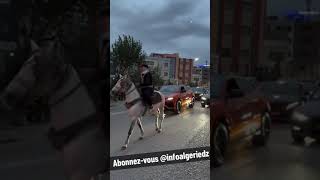 Mariage défilé zawaj DZ en Algérie fi djazair just marriage in algeria horse chevaux cortège Algiers [upl. by Fishback]