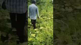 Mishmi comedy video short entertain video😁😁😁😅😅😅🤣🤣 [upl. by Bander]