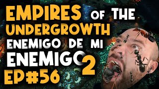 ✅ ENEMIGO DE MI ENEMIGO 2  Empires of the Undergrowth  NIVEL EXTRA [upl. by Lampert246]