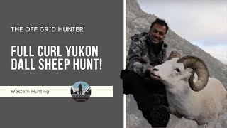 Yukon Dall Sheep Hunt For A Full Curl Ram DALL SHEEP  THE OFF GRID HUNTER [upl. by Akila]