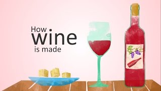 how wine is made animation [upl. by Hamer]