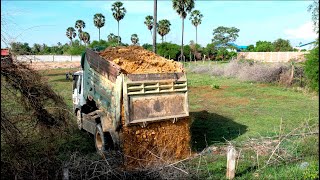 Perfectly Strong KOMATSU Dozer D31P Open Forest Cutting  Pushing Soil amp Truck Dumping Fillup Land [upl. by Roter]