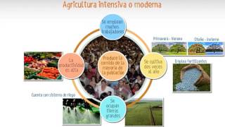 Agricultura [upl. by Anoyek]